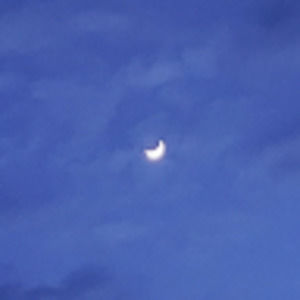 Meet your Posher, Ellie